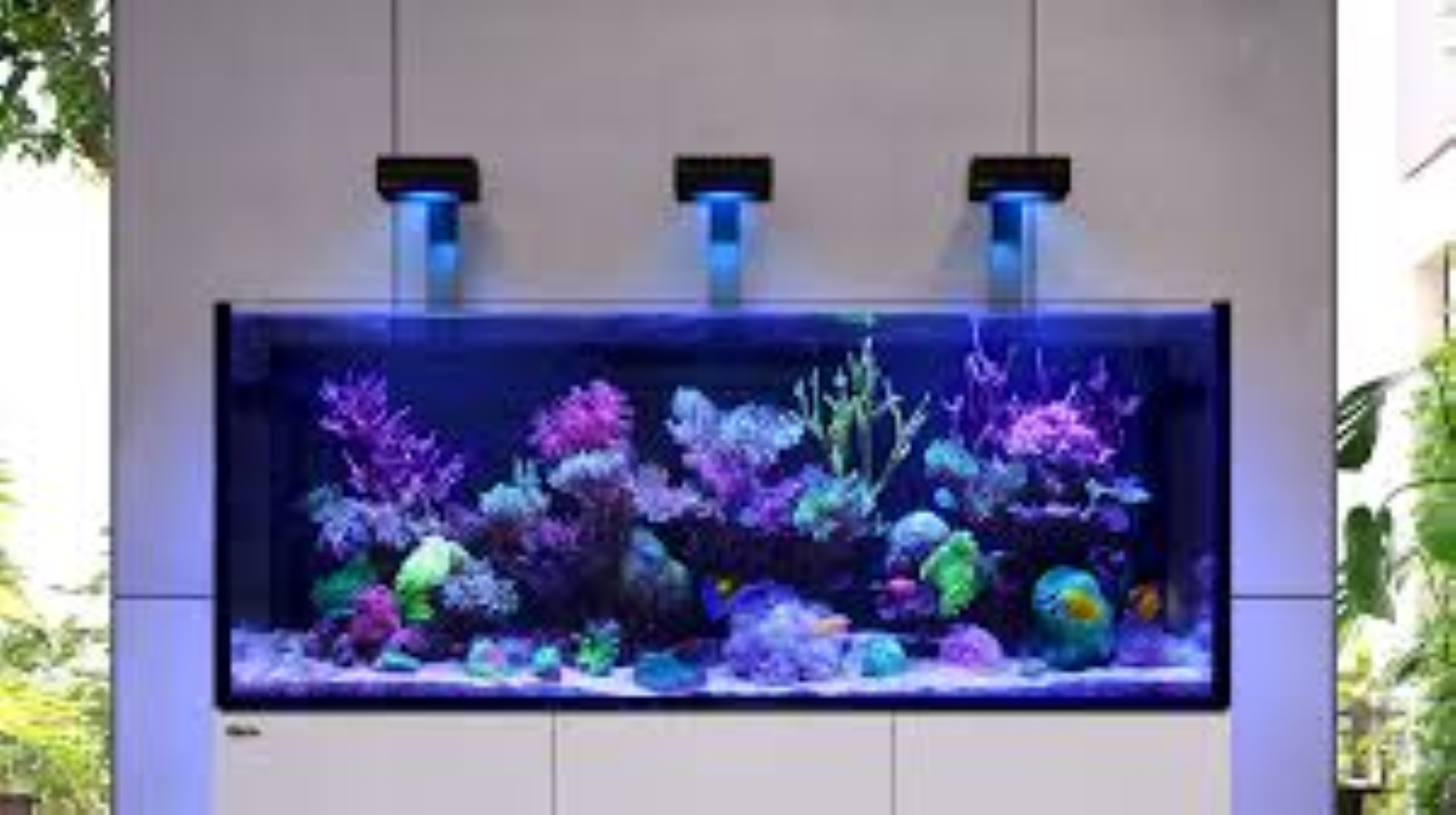 RED REEFER DECOR 